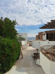 WhatsApp Image 2026-03-17 at 6.57.13 PM (2) (1)