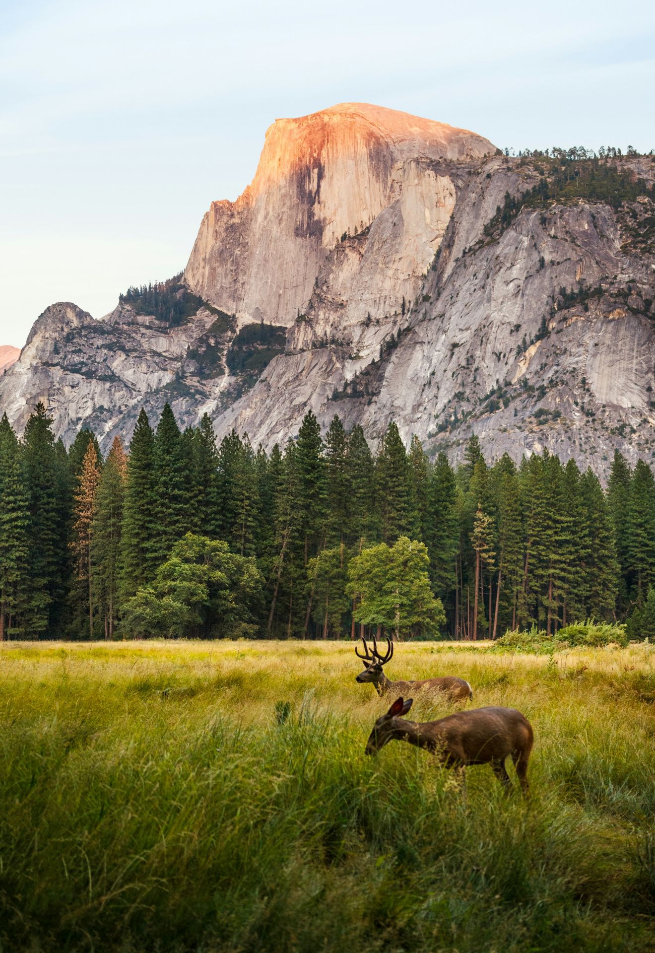 National Park